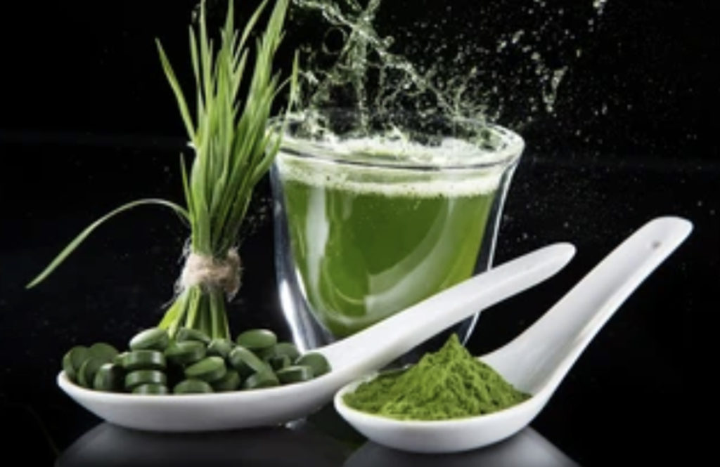 spiruline super aliment