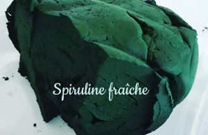 Spiruline crue, fraîche, congelée, sèche